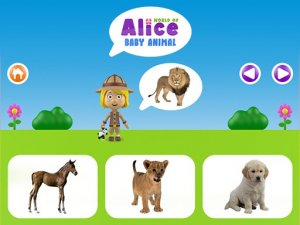 Animal Families: Match & Learn